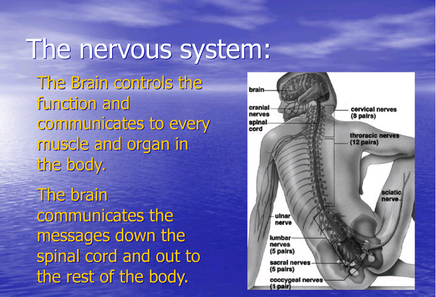Trigger Point Definition