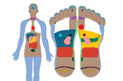 illustrated chart of foot reflexology points as they correspond to the human body
